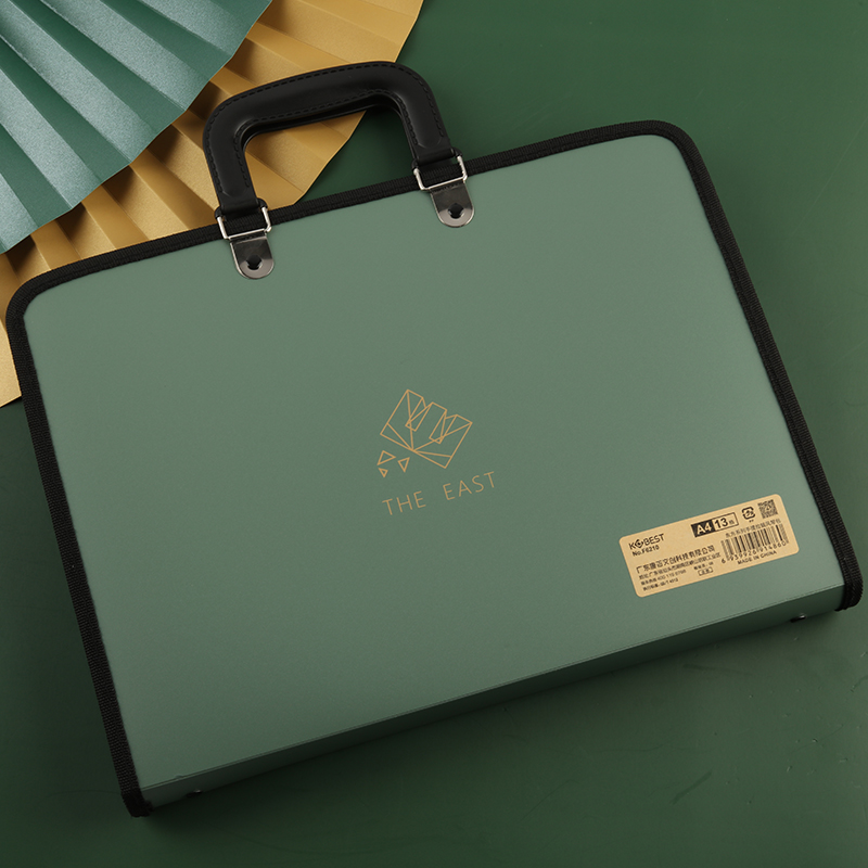 Bolsa de almacenamiento de doc - Binder Storage Box reseña y precio